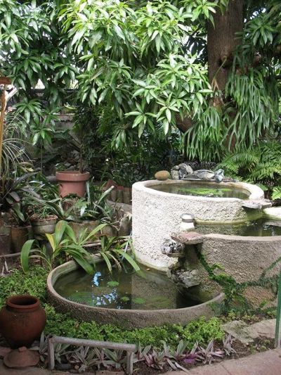 'Pond of fish' Casas particulares are an alternative to hotels in Cuba.